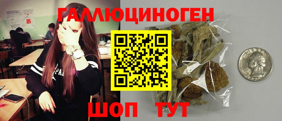 Псилоцибиновые грибы GOLDEN TEACHER Кемерово
