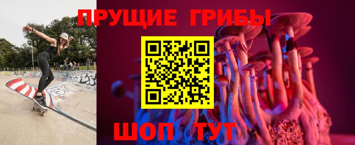 Кемерово  Галлюциногенные грибы Psilocybine cubensis  Вход с VPN  Галлюциногенные грибы мухоморы 